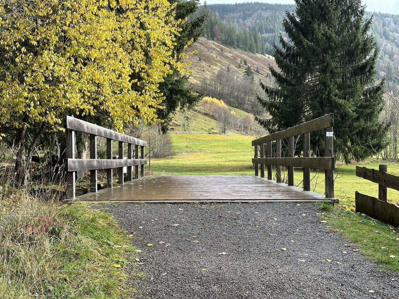 plant, tree, nature, split-rail fence, no people, beauty in nature, the way forward, railing, footpath, tranquility, day, growth, tranquil scene, fence, autumn, scenics - nature, green, trail, landscape, architecture, wood, grass, estate, outdoors, road, non-urban scene, walkway, land, mountain, built structure, gate, environment, transportation, sunlight, sky, bench, empty, security