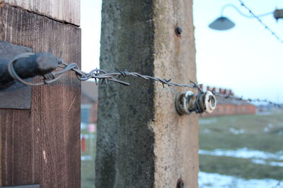 Close-up of barbed wire on wooden post