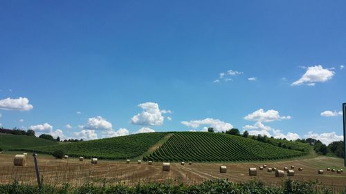 Scenic view of field against blue sky