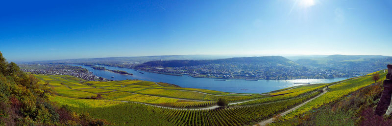 Scenic view of agricultural field against blue sky