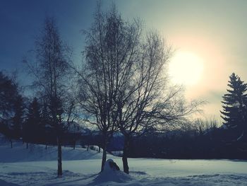 Trees on snow covered field against sky