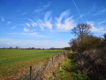 Scenic view of field against sky