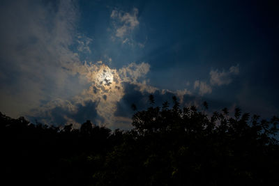 Low angle view of silhouette trees against sky at night