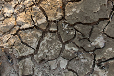 Full frame shot of cracked land