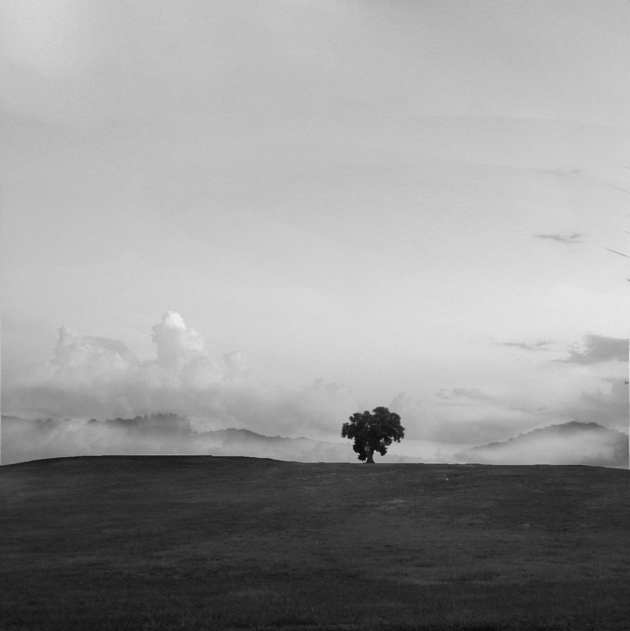 tranquil scene, tranquility, sky, tree, scenics, landscape, beauty in nature, nature, field, weather, cloud - sky, growth, cloudy, non-urban scene, idyllic, cloud, outdoors, grass, overcast, remote