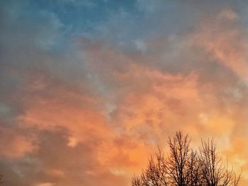 Low angle view of silhouette trees against sky at sunset