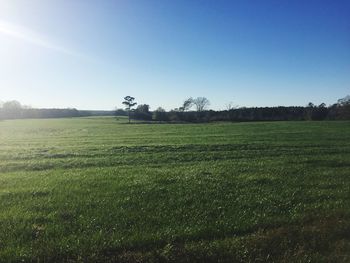 Scenic view of grassy field against cloudy sky