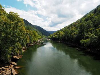 Scenic view of river amidst trees against sky