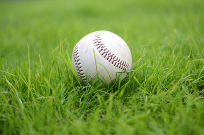 Close-up of ball on grass