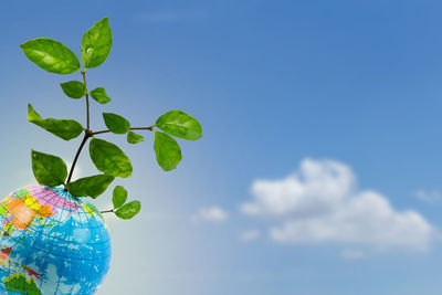 Low angle view of plant against blue sky