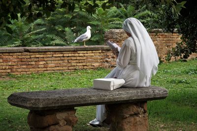 Bird perching on retaining wall against trees