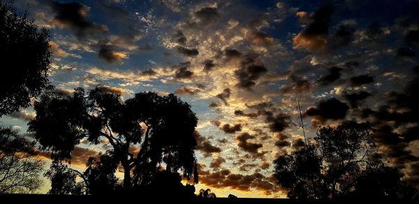 Low angle view of silhouette trees against sky during sunset