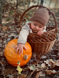 Close-up of pumpkin and baby in basket