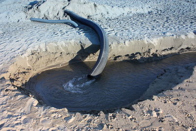 High angle view of horse on beach