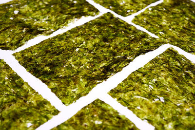 High angle view of road