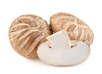 Close-up of mushrooms against white background