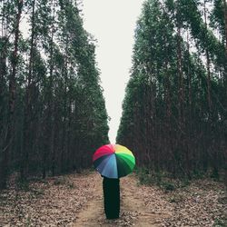 Rear view of woman standing in park