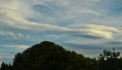 Low angle view of trees against cloudy sky