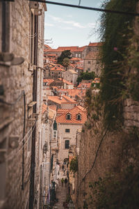 Buildings in city