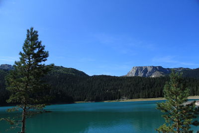 Scenic view of lake by trees against blue sky