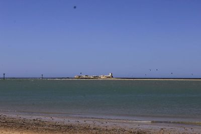 Birds on beach against clear sky