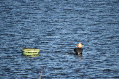 High angle view of man swimming in sea