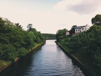 Reflection of trees in water