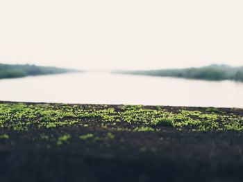 Surface level of water on land against sky