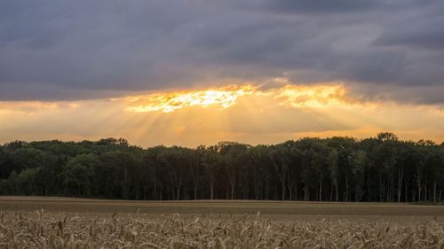 Scenic view of field against sky during sunset