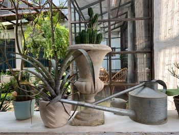 Potted plants on table by building