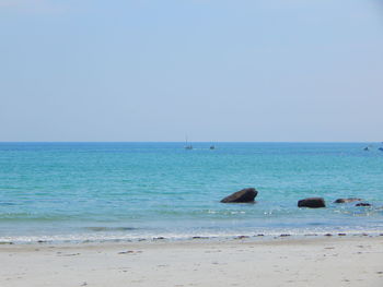 Scenic view of sea against clear blue sky