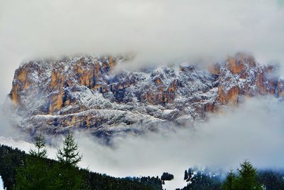 Trees on mountain against sky