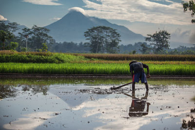 Man working in farm