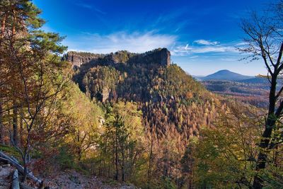 Scenic view of forest against sky during autumn