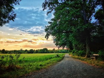 Road amidst trees on field against sky