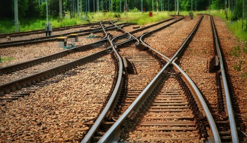 High angle view of railroad tracks in forest