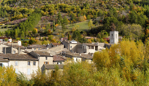 High angle view of trees and buildings in city