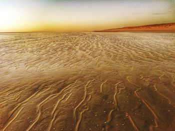 Scenic view of sandy beach at sunset