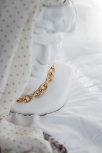 High angle view of shells on bed
