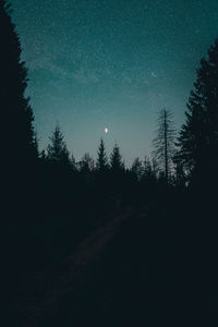 Silhouette trees against sky at night