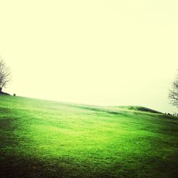 Scenic view of grassy field against sky