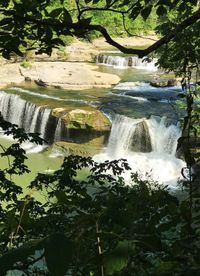 Scenic view of waterfall in forest