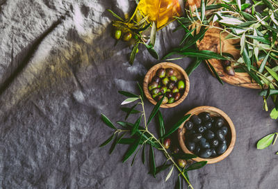 High angle view of plant growing on table