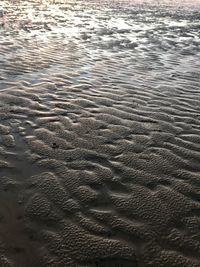 Full frame shot of wet sand