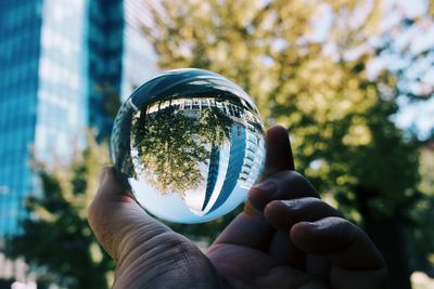 Cropped hand holding crystal ball against trees and skyscrapers 