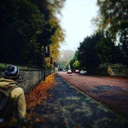 Road passing through trees