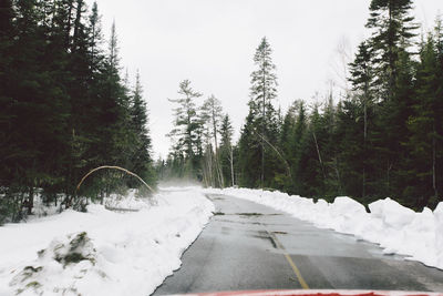 Road amidst trees in forest against sky during winter