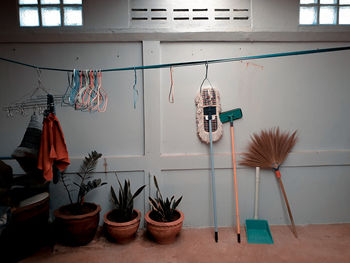 Potted plants hanging on wall at home and clothes rack