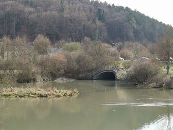 Arch bridge over lake in forest