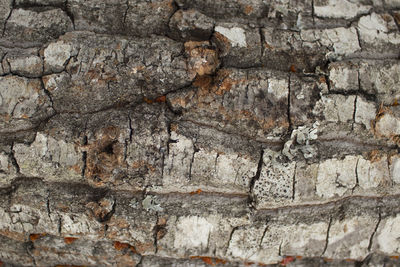 Full frame shot of stone wall